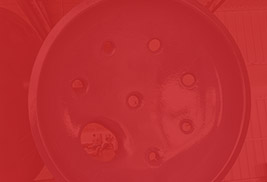 留學(xué)生落戶(hù)